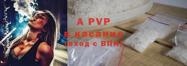 прущие грибы Баксан