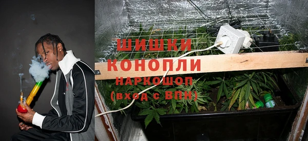 прущие грибы Баксан