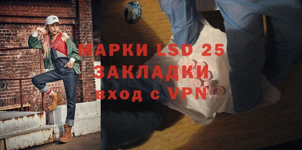 прущие грибы Баксан