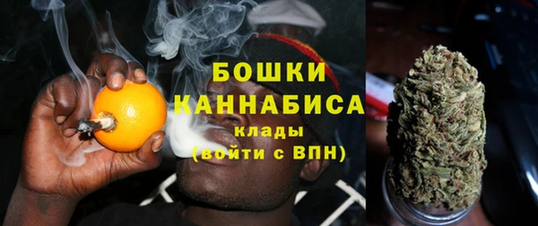 прущие грибы Баксан