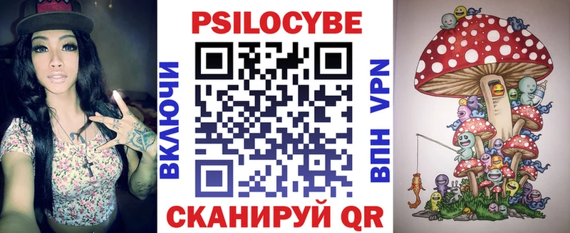 Псилоцибиновые грибы Psilocybine cubensis  Пущино 